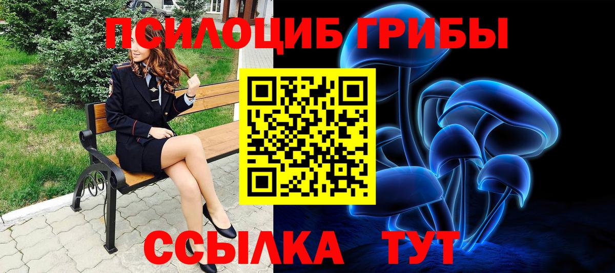 Псилоцибиновые грибы MAGIC MUSHROOMS Кушва